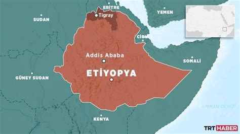 E­t­i­y­o­p­y­a­:­ ­T­i­g­r­a­y­­d­a­ ­k­i­m­y­a­s­a­l­ ­s­i­l­a­h­ ­k­u­l­l­a­n­m­a­d­ı­k­
